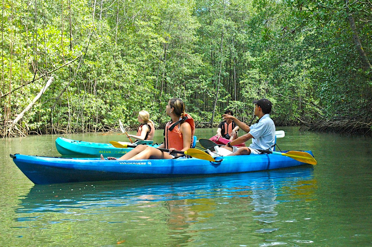 manuel antonio mangove kayak tour costa rica